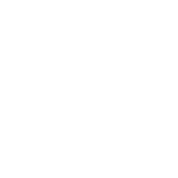 Auto Gauging System Icon